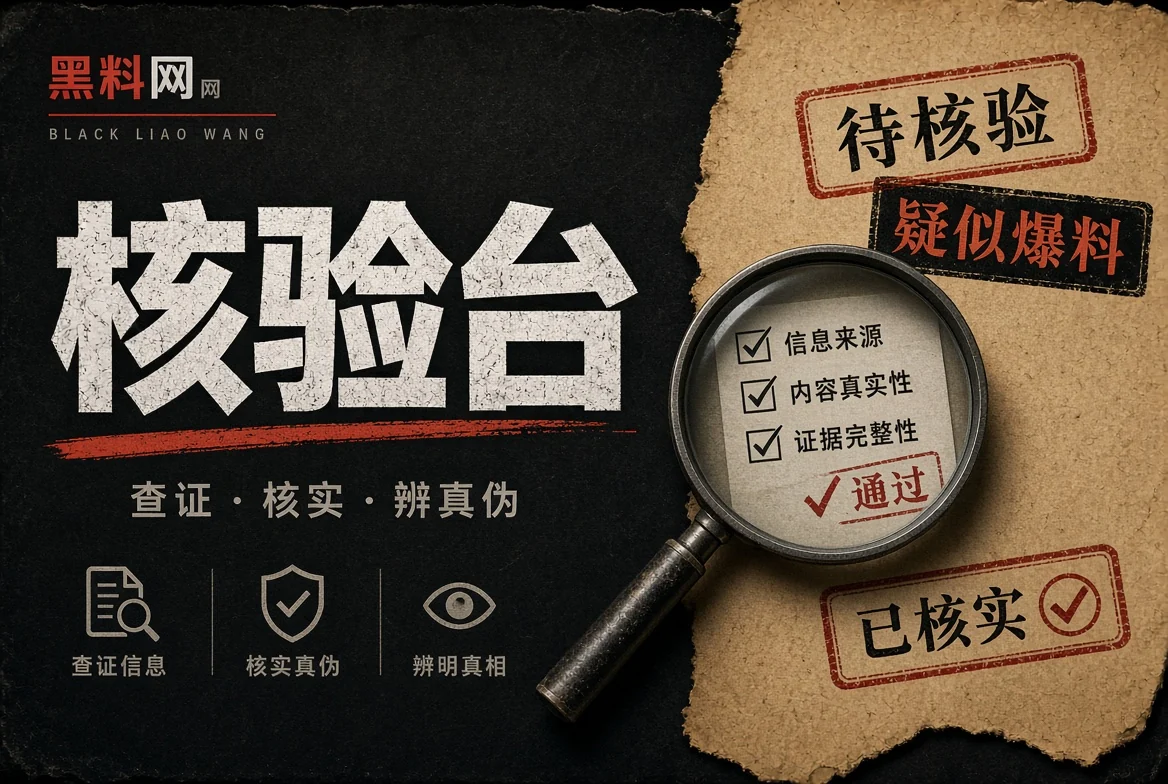事实核验栏目配图